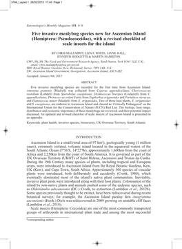 Five Invasive Mealybug Species New for Ascension Island (Hemiptera: Pseudococcidae), with a Revised Checklist of Scale Insects for the Island