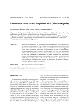 Detection of Urban Spot in the Plain of Mina (Western Algeria)