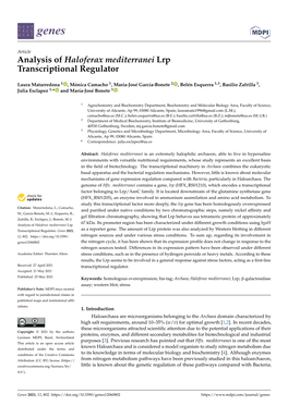 Analysis of Haloferax Mediterranei Lrp Transcriptional Regulator