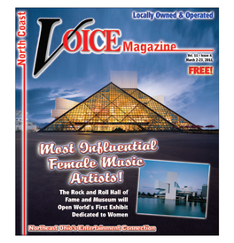 Voicev11-04.Pdf