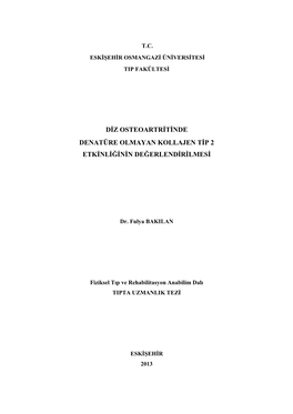 Diz Osteoartritinde Denatüre Olmayan Kollajen Tip 2 Etkinliğinin Değerlendirilmesi