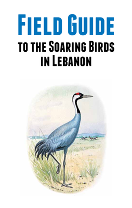 To the Soaring Birds in Lebanon Field Guide to the Soaring Birds in Lebanon Field Guide to the Soaring Birds in Lebanon