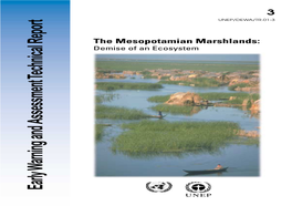 Mesopotamian Marshlands: Demise of an Ecosystem