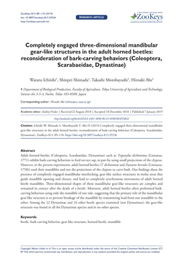 Completely Engaged Three-Dimensional Mandibular Gear