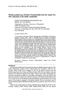 Phorbas Posidoni N.Sp. (Porifera: Poecilosclerida) from the Aegean Sea, with a Discussion of the Family Anchinoidae