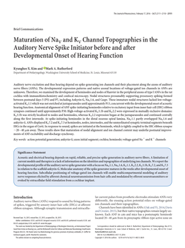 Maturation of Nav and KV Channel Topographies in the Auditory Nerve Spike Initiator Before and After Developmental Onset of Hearing Function