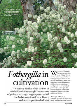 Fothergillain Cultivation