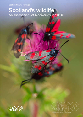 Scotland's Wildlife