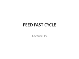 Feed Fast Cycle Absorptive State (Fed State)