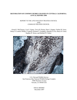 2006 Final Report Devil's Slide Murre Colony