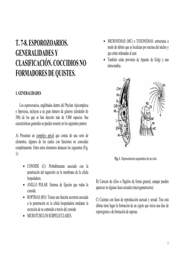 T. 7-8. Esporozoarios. Generalidades Y