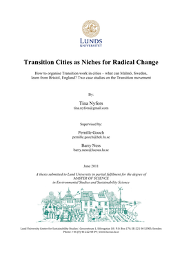 Transition Cities As Niches for Radical Change