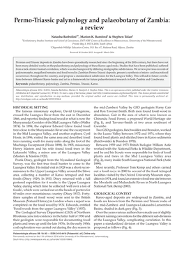 Permo-Triassic Palynology and Palaeobotany of Zambia: a Review