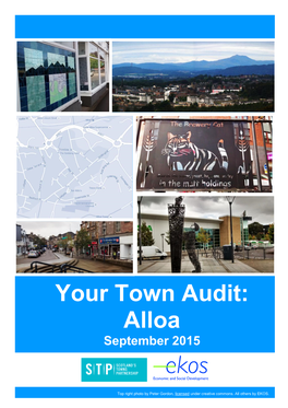 Your Town Audit: Alloa September 2015