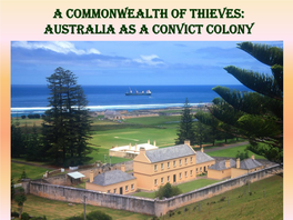 Australia As a Convict Republic