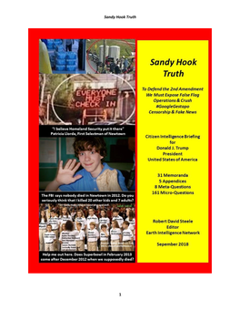 Sandy Hook Collected Memoranda Trial Exh H