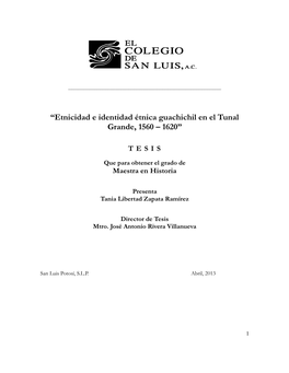 Etnicidad E Identidad Étnica Guachichil En El Tunal Grande, 1560 – 1620”