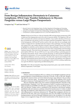 From Benign Inflammatory Dermatosis to Cutaneous Lymphoma. DNA Copy Number Imbalances in Mycosis Fungoides Versus Large Plaque P