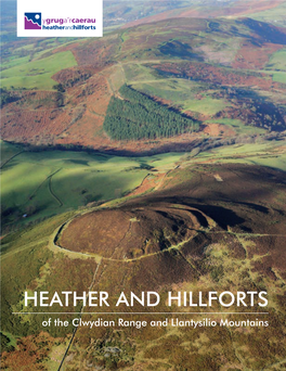 Heather and Hillforts Y Grug A’R Caerau A’R Grug Y