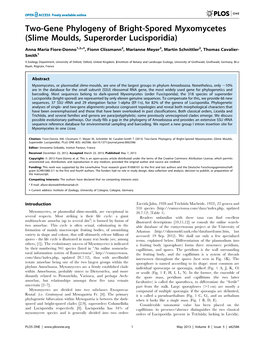 Two-Gene Phylogeny of Bright-Spored Myxomycetes (Slime Moulds, Superorder Lucisporidia)