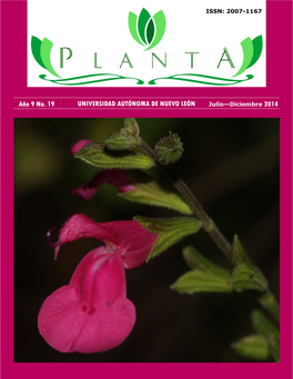 Planta-No19.Pdf