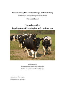 Horns in Cattle – Implications of Keeping Horned Cattle Or Not