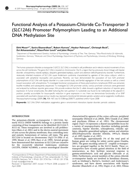 (SLC12A6) Promoter Polymorphism Leading to an Additional DNA Methylation Site