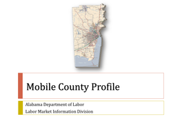 Mobile County Profile