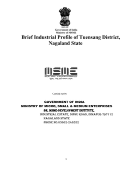 Brief Industrial Profile of Tuensang District, Nagaland State
