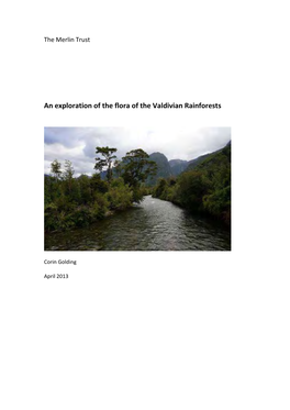 An Exploration of the Flora of the Valdivian Rainforests