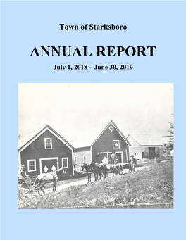 Town Report 2018-19