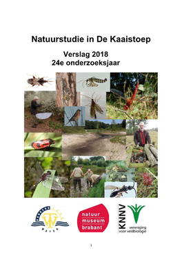 2018 Kaaistoep Jaarverslag(5