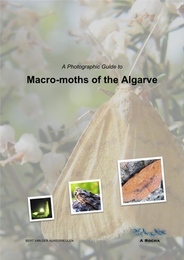 Macro-Moths of the Algarve