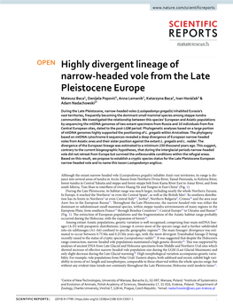 Highly Divergent Lineage of Narrow-Headed Vole from the Late