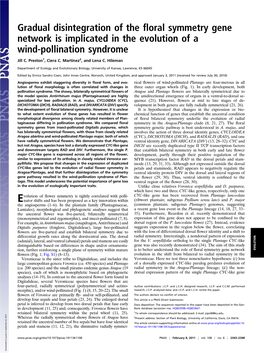 Gradual Disintegration of the Floral Symmetry Gene Network Is