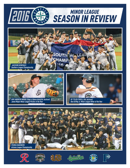 2016 Milb Season Review