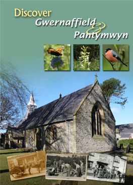 Gwernaffield & Pantymwyn