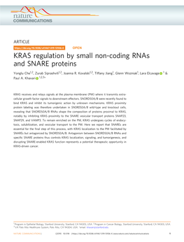 KRAS Regulation by Small Non-Coding Rnas and SNARE Proteins