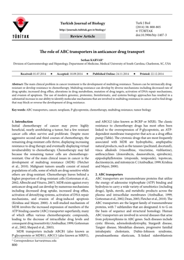 The Role of ABC Transporters in Anticancer Drug Transport