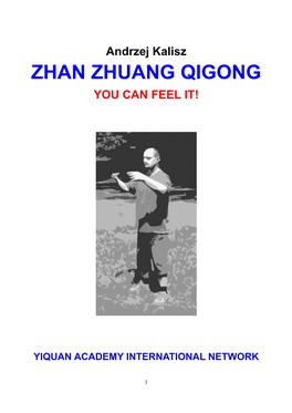 Zhan Zhuang Qigong You Can Feel It!