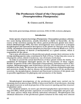 The Prothoracic Gland of the Chrysopidae (Neuropteroidea: Planipennia)
