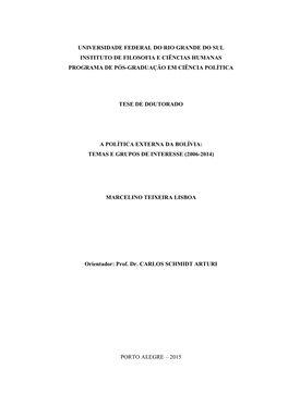 Universidade Federal Do Rio Grande Do Sul Instituto De Filosofia E Ciências Humanas Programa De Pós-Graduação Em Ciência Política