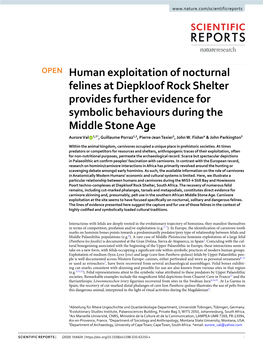 Human Exploitation of Nocturnal Felines at Diepkloof Rock Shelter