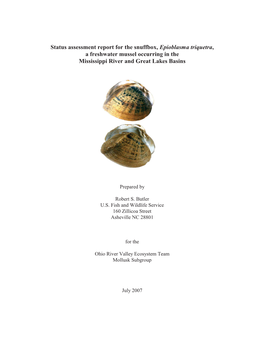 Status Assessment Report for the Snuffbox, Epioblasma Triquetra, a Freshwater Mussel Occurring in the Mississippi River and Great Lakes Basins