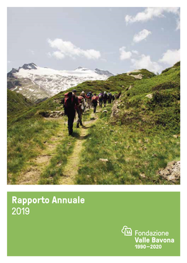 Rapporto D'esercizio 2019 (PDF)