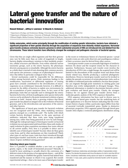 Lateral Gene Transfer and the Nature of Bacterial Innovation