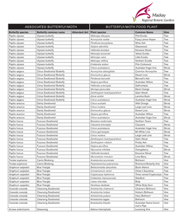 Associated Butterfly/Moth Butterfly/Moth Food Plant