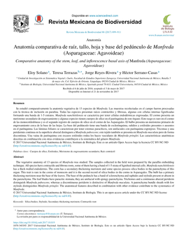 Anatomía Comparativa De Raíz, Tallo, Hoja Y Base Del Pedúnculo De Manfreda