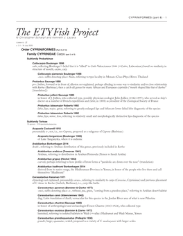 The Etyfish Project © Christopher Scharpf and Kenneth J