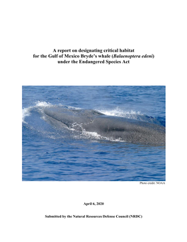 A Report on Designating Critical Habitat for the Gulf of Mexico Bryde's Whale